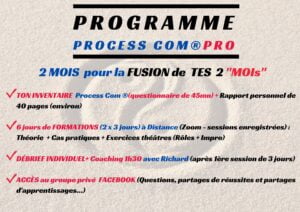 Richard ESPINASSE Coach Badass Détails Programme Process Com PRO
